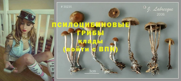 PSILOCYBIN Абдулино